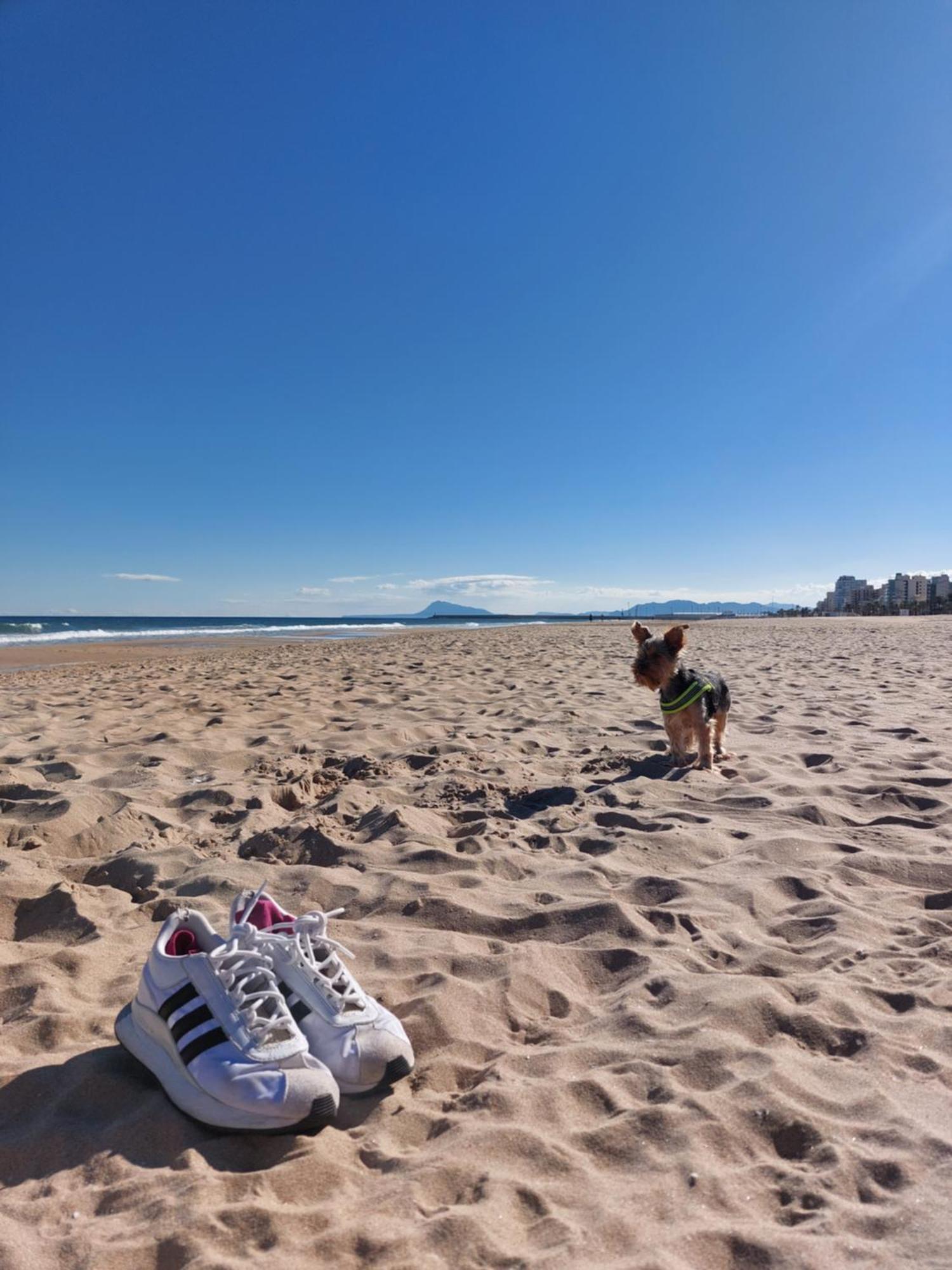 Precioso Apartamento En Gandia Playa de Gandia ภายนอก รูปภาพ